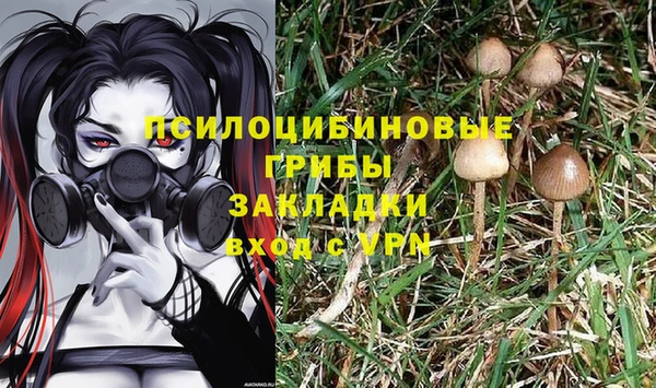 дурь Михайловка